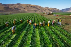 POST_National Geographic Food Waste