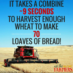 Combines-bread