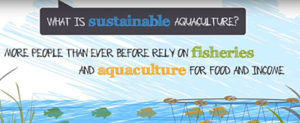 Sustainable Fish Production