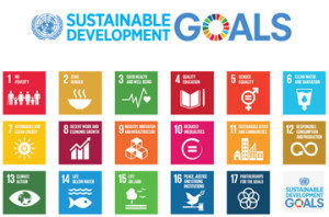 United Nations Sustainable Development Goals