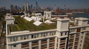 Rooftop Farm