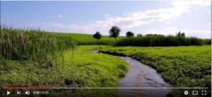 water wisely youtube