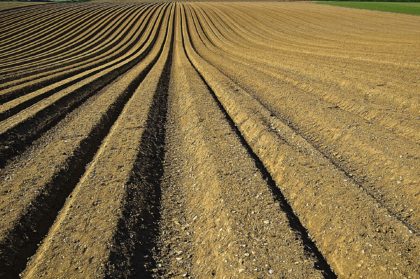 Soil prepared ready for seeding