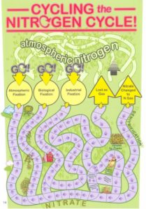 Play the Nitrogen Game - image