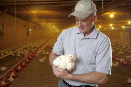 chicken farmer