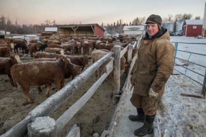 cattle farmer