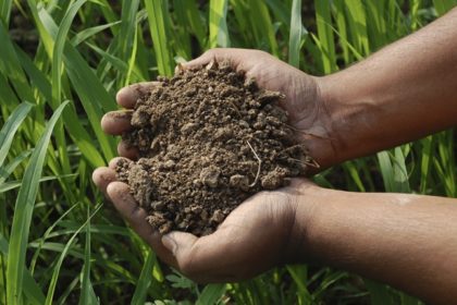 holding soil