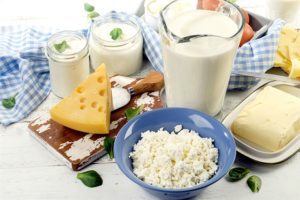 dairy products