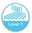 Level 1