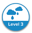 Level 3