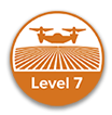 Level 7